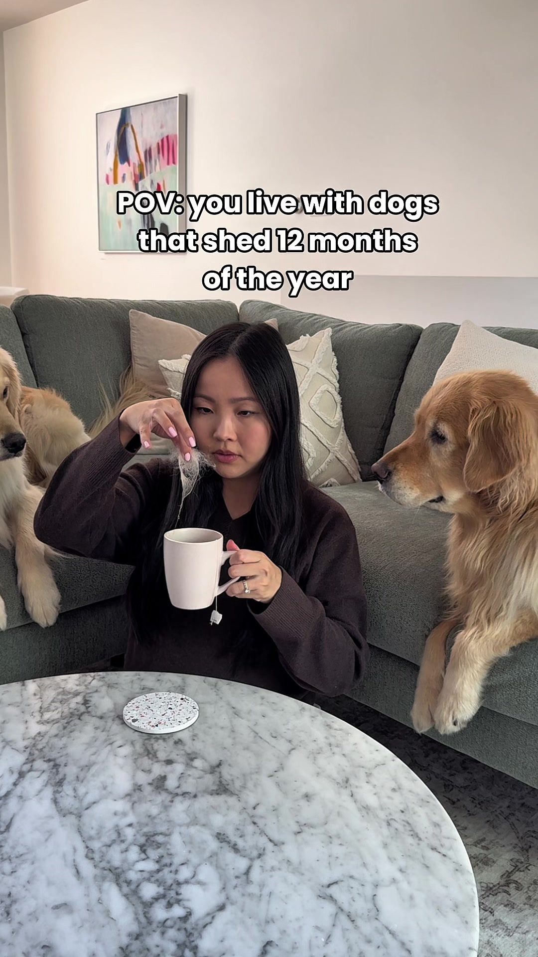 @Daisy & Maple the Goldens