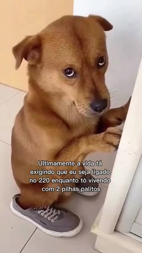 @Gabriel