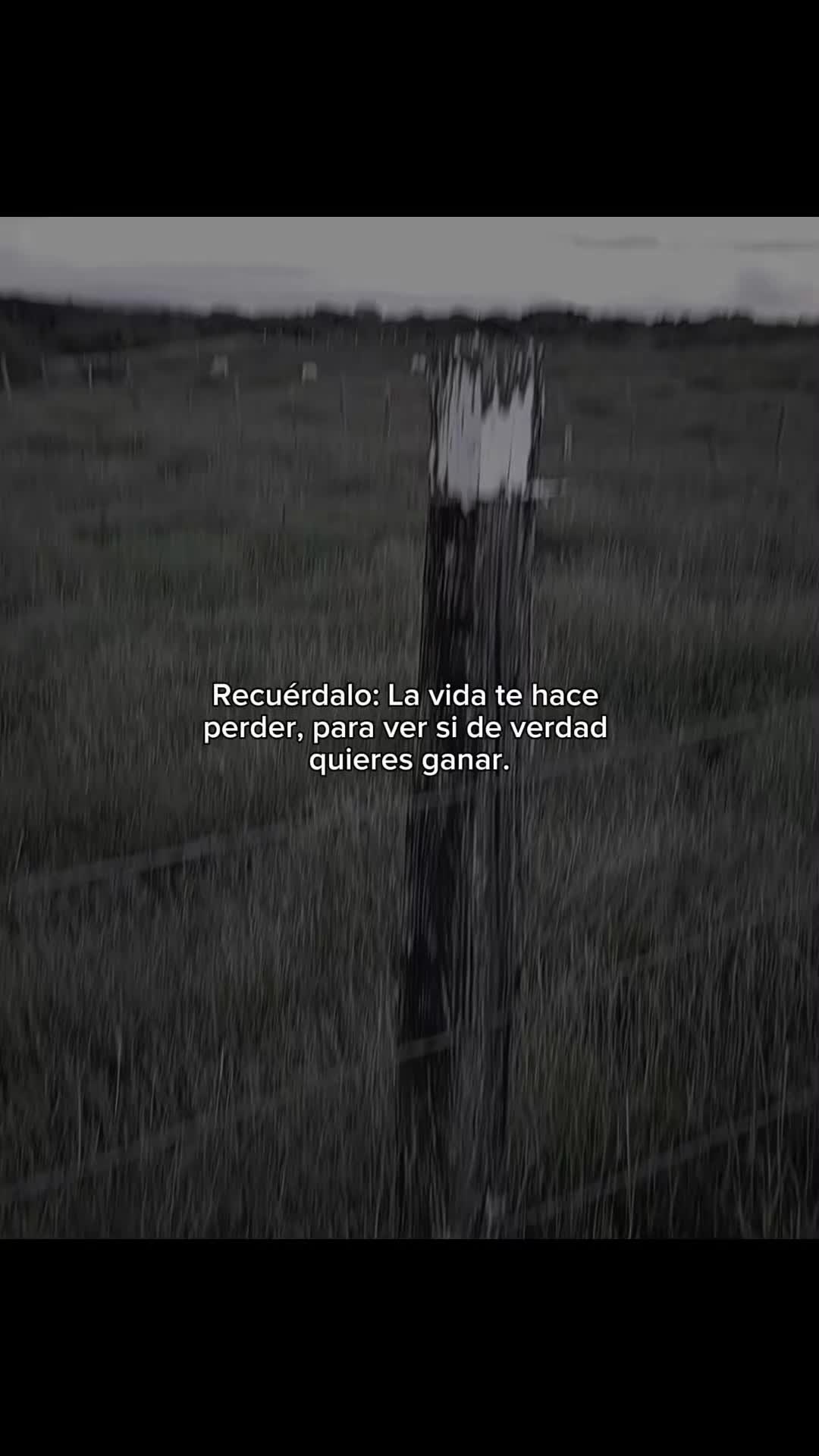 @N a t u r e