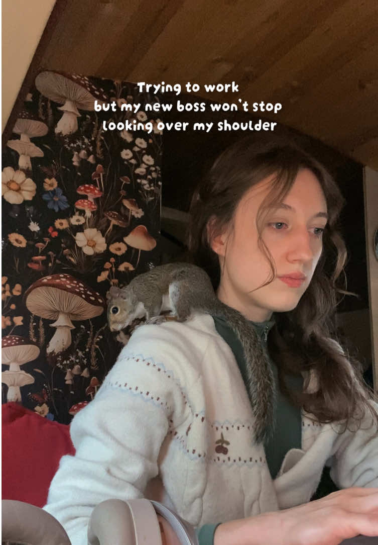 @Sunny The Skoolie