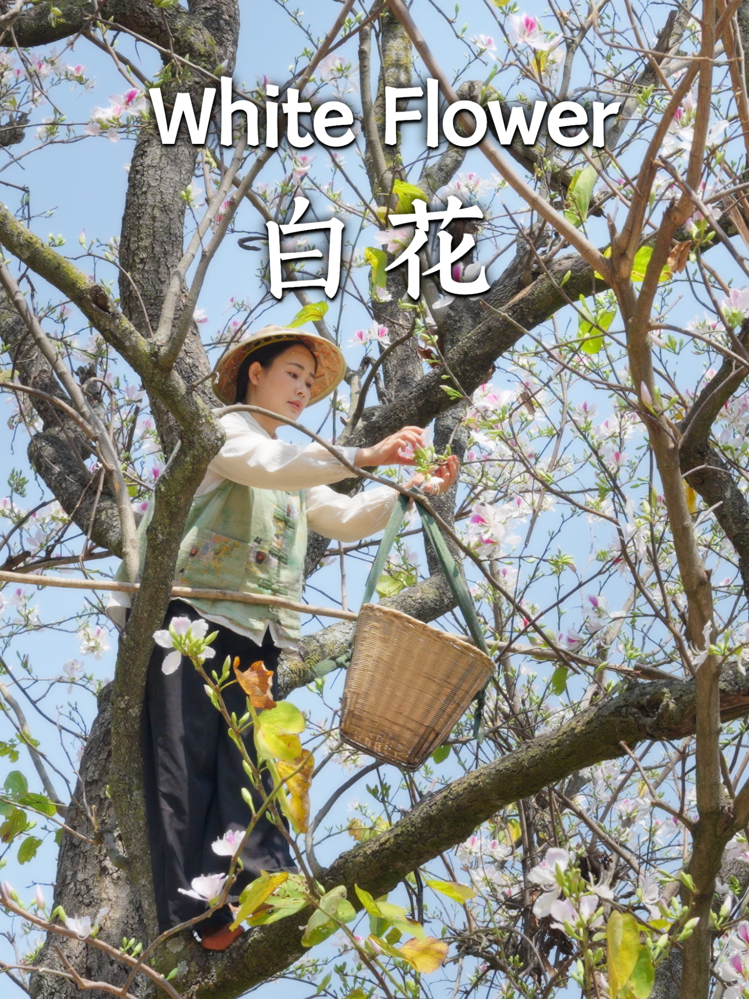 @滇西小哥 Dianxixiaoge