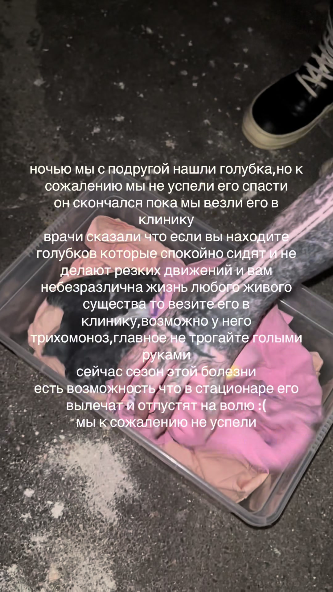 @х_х