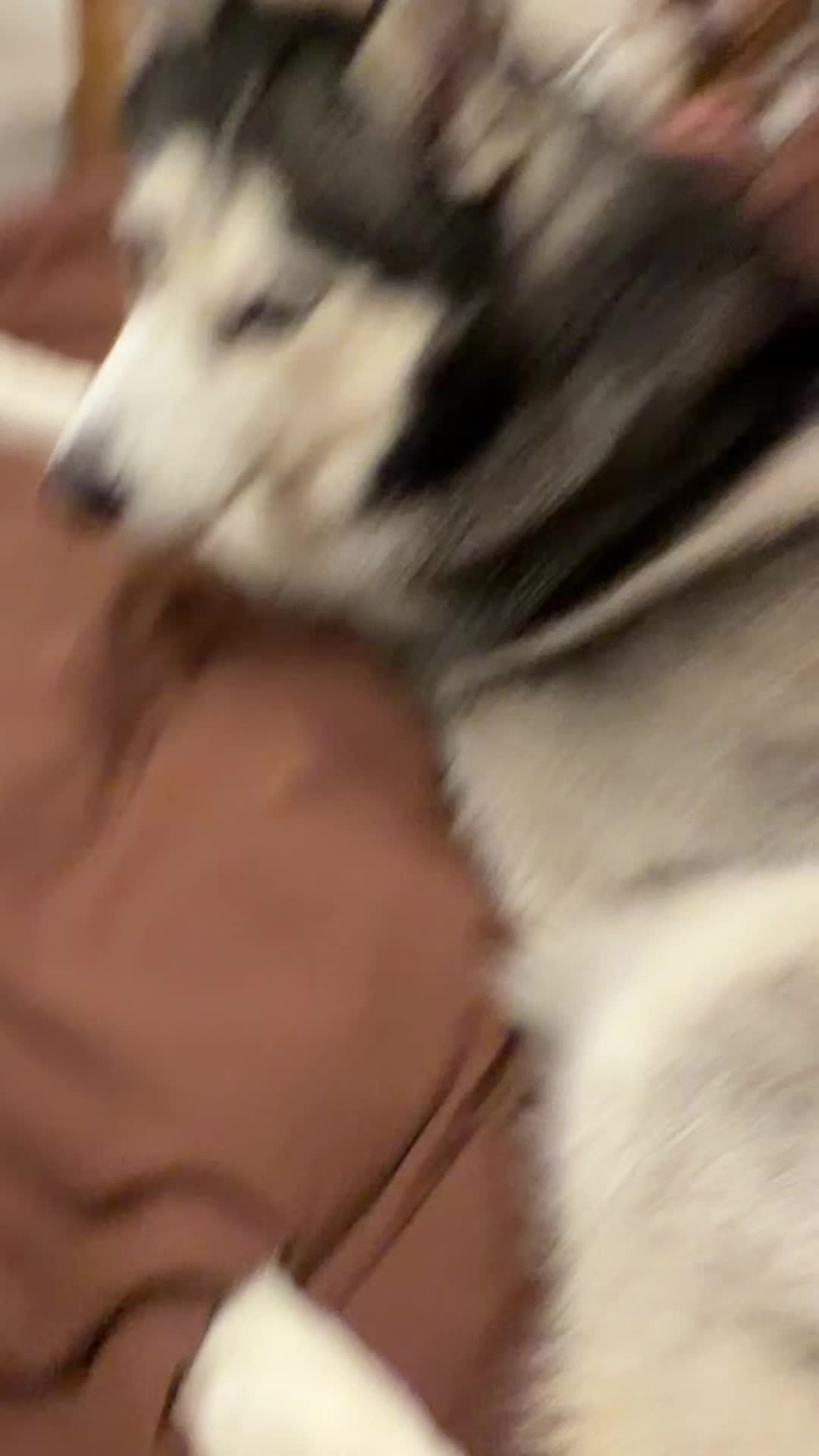 @michelleatseaa
