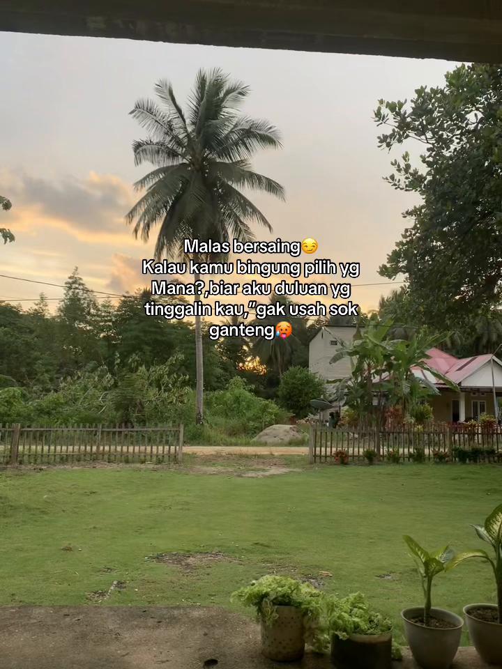 @Senja✨
