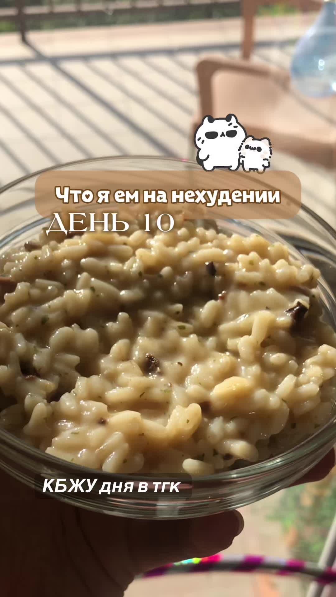 @Тгк: catislosingweight