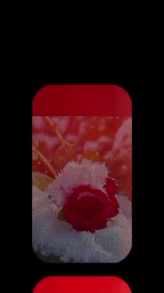 @NuranDar