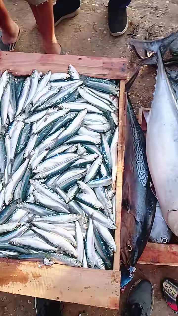 @Fouad p&ecirc;cheur