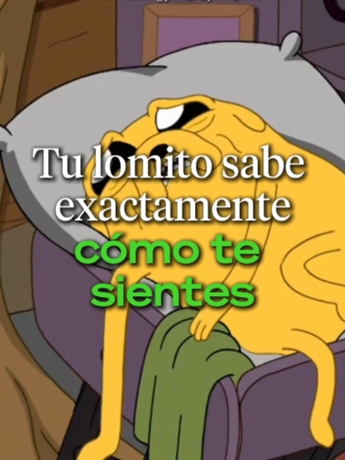 @Ahora Entiendo