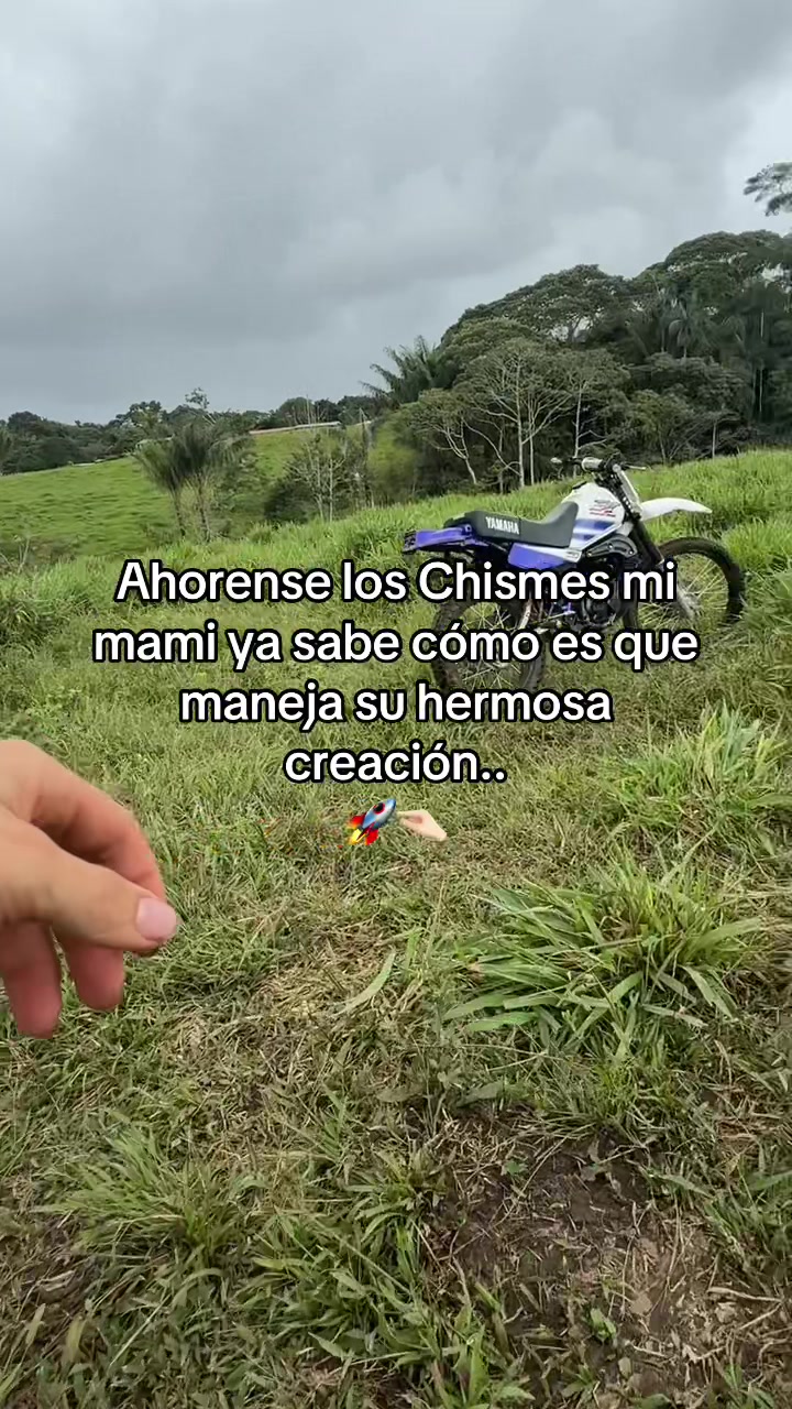@El Mono🦦