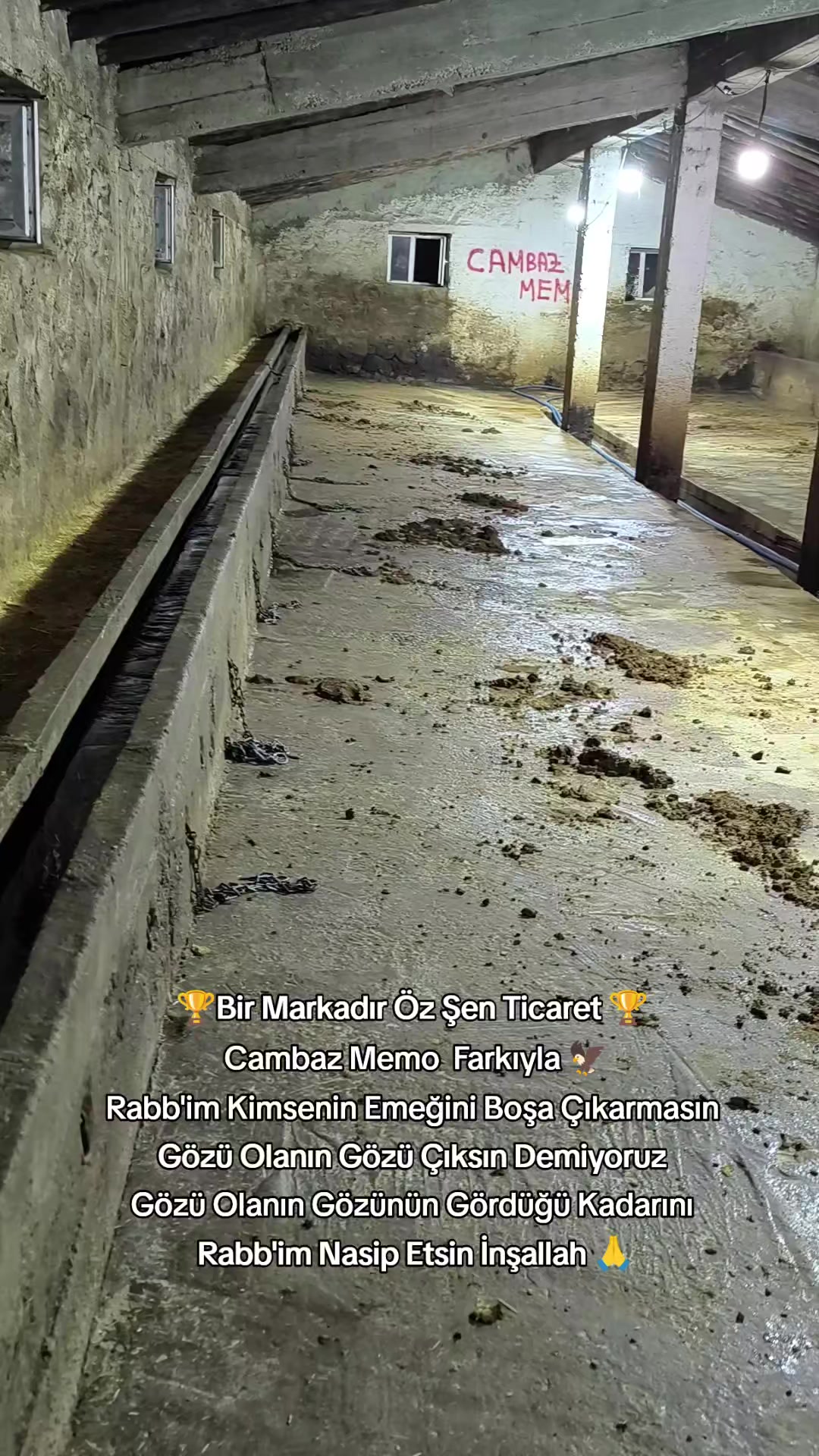 @👑Cambaz Memo Şen👑