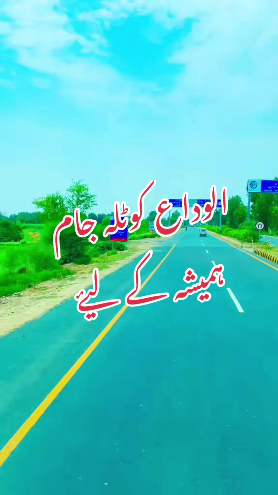 @saleemniazi519