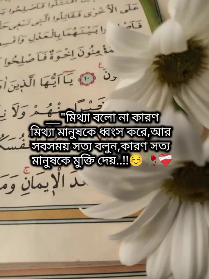 @🐸⎯͢⎯⃝জাতির নানি সাহেবা-♡🐸࿐