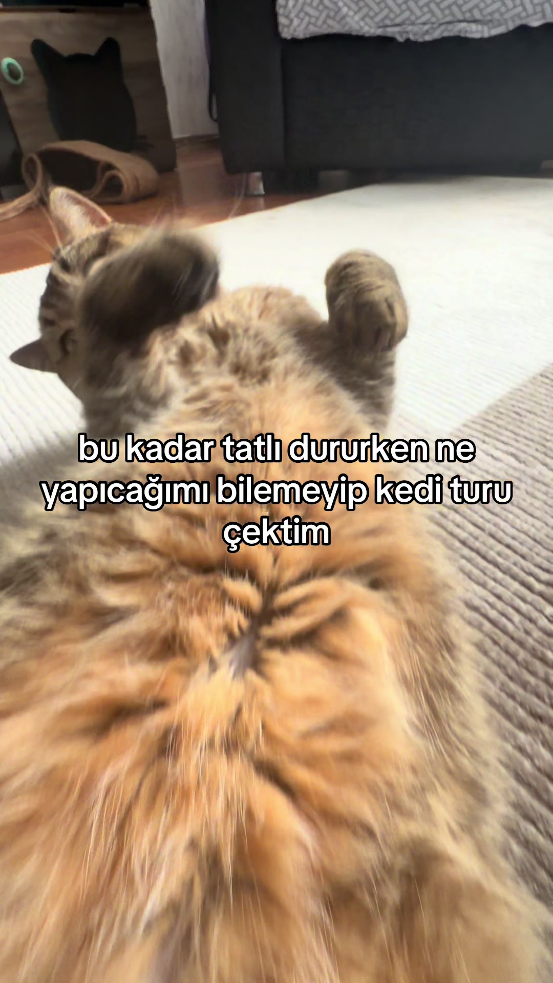 @алинушка