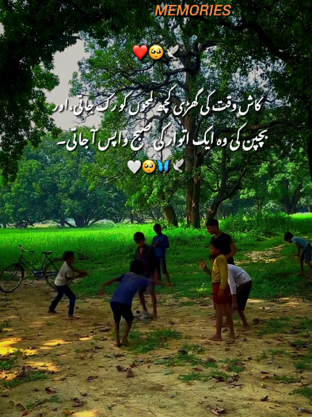 @Arooj 🦋🌼
