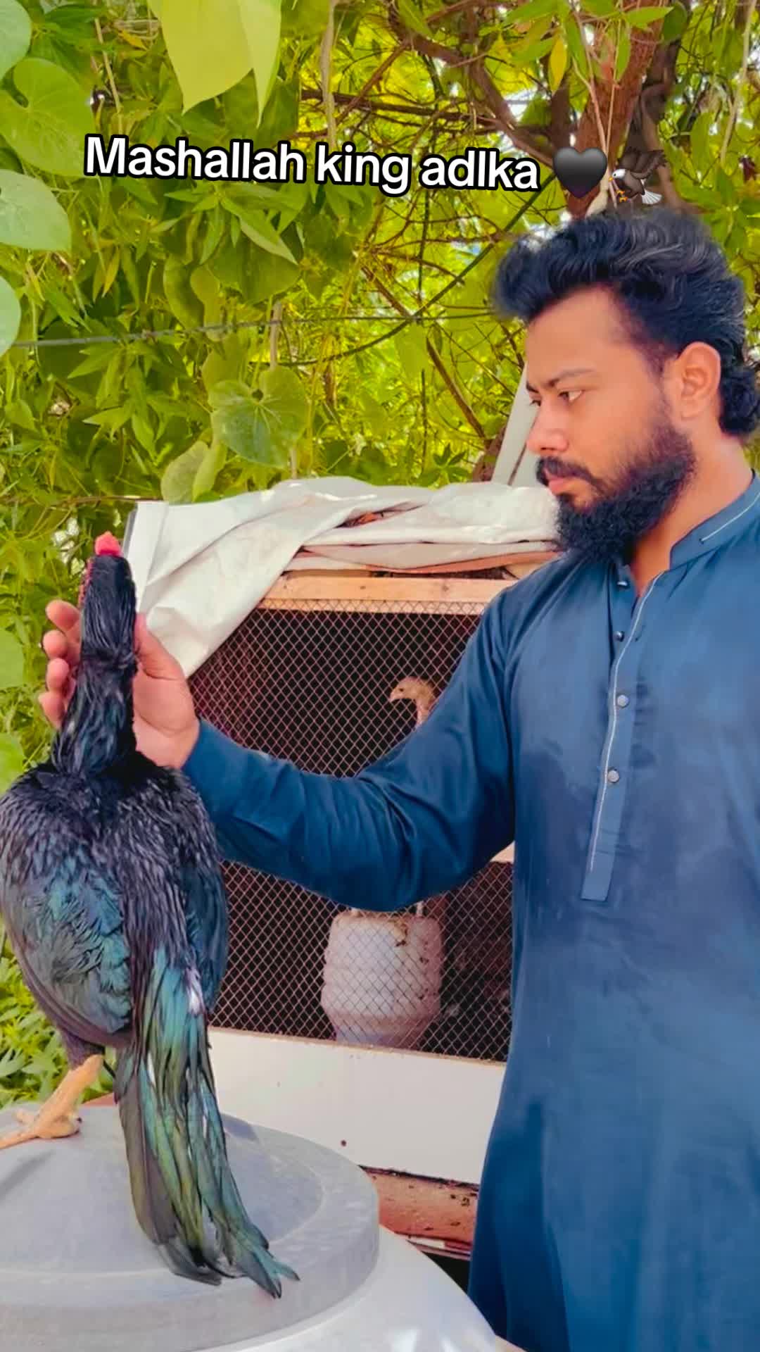 @شوق سرگودھا آ لے دا🔥🦅🐦&zwj;🔥😈