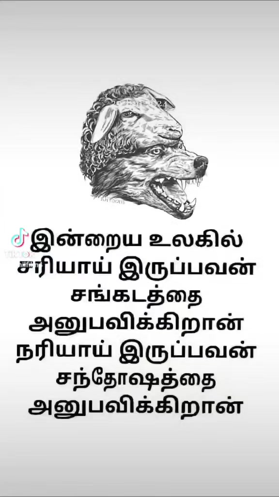 @seelan