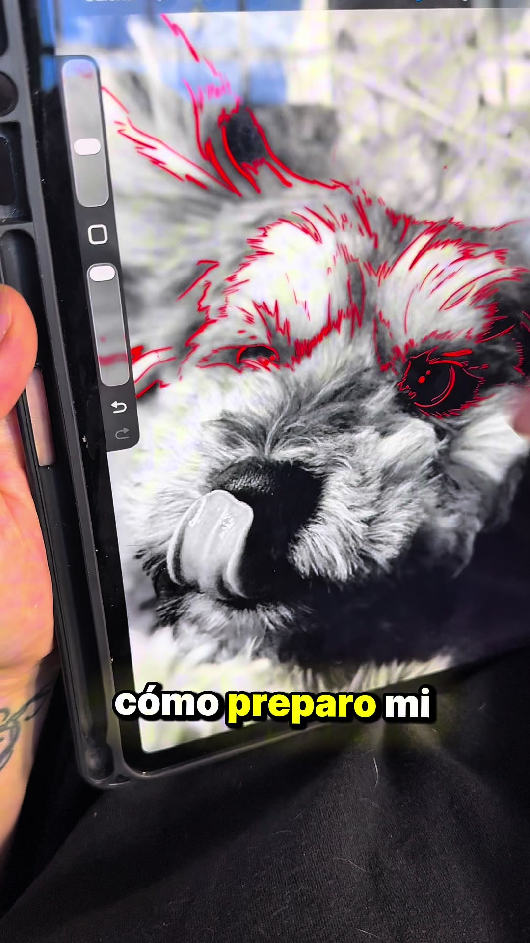 @ttomimosquera