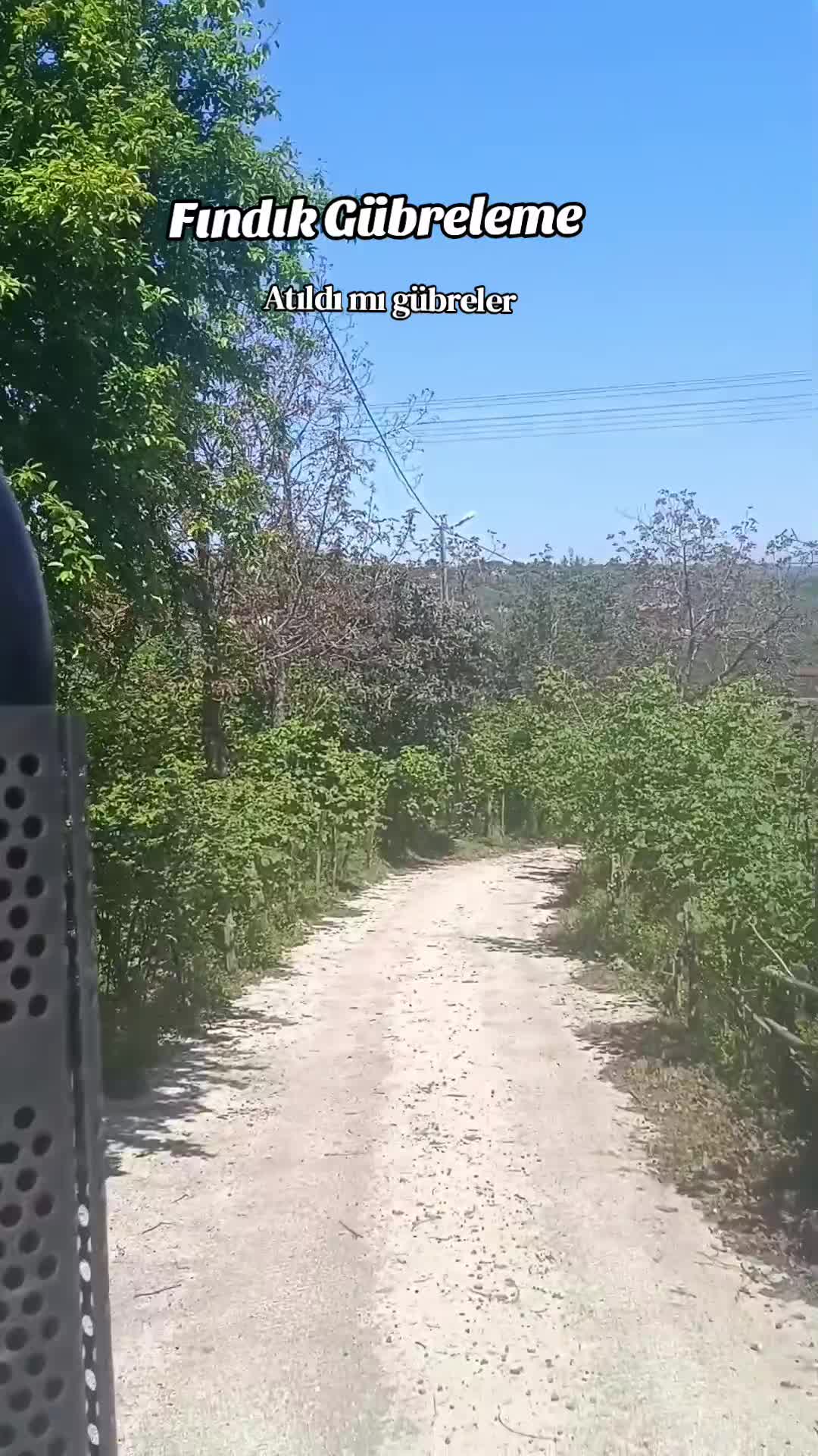 @sibel aydoğdu