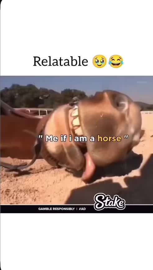 @HORSES