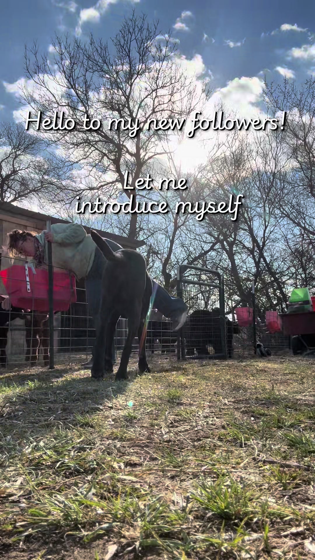 @Hayley | Crooked Creek Farms