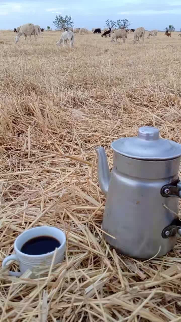 @ايوب جونيمار