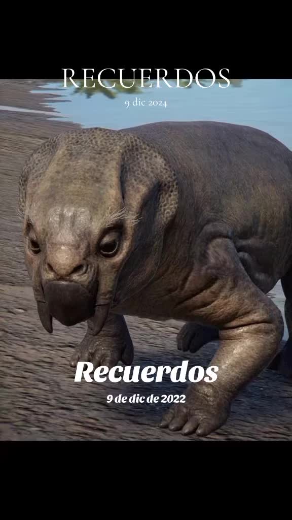 @🦖🦕David_dino_park🦖🦕