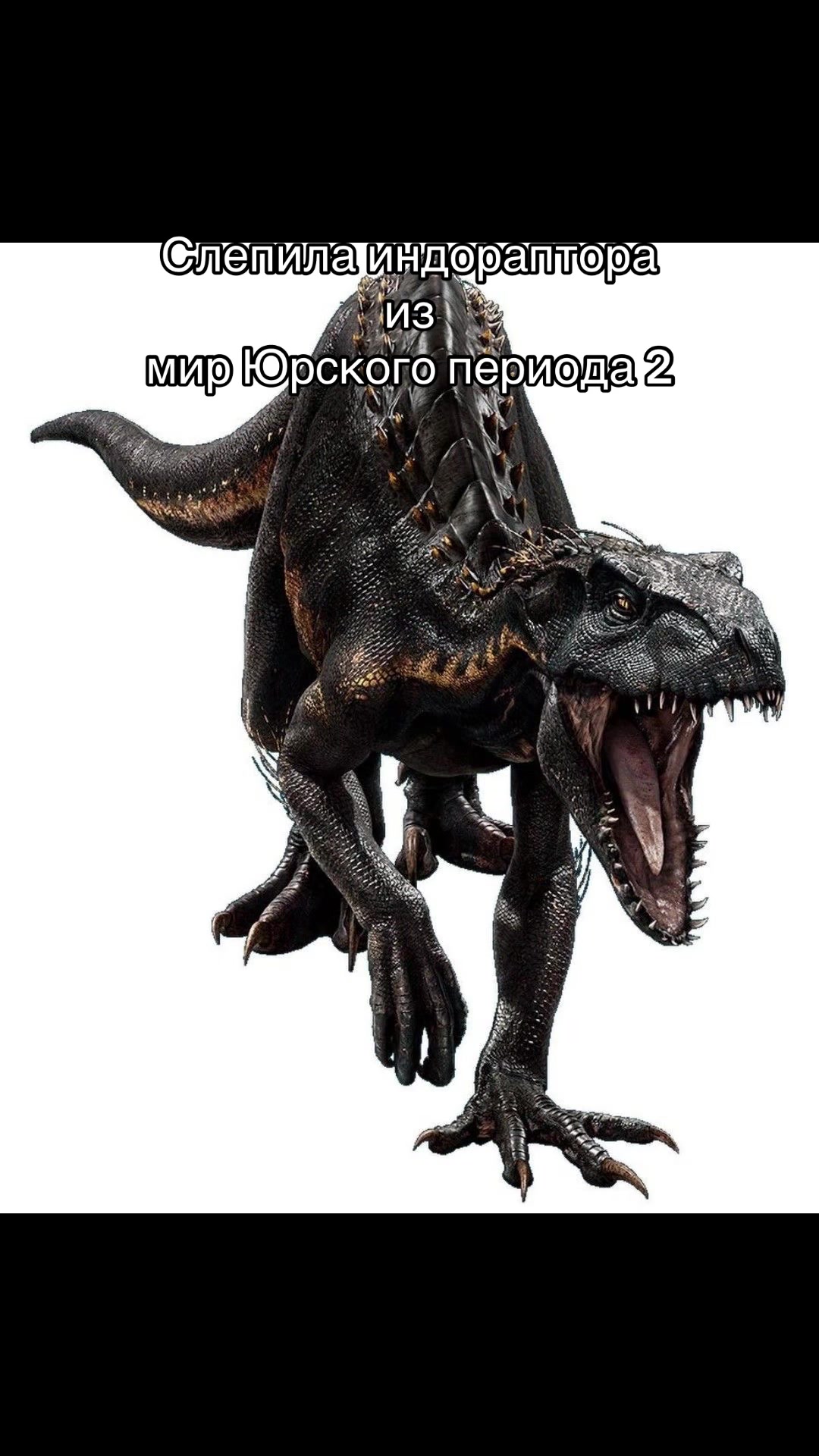 @nataha_drago_