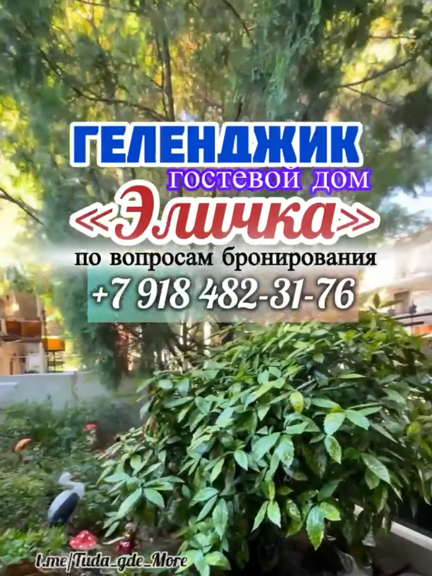 @Туда где море