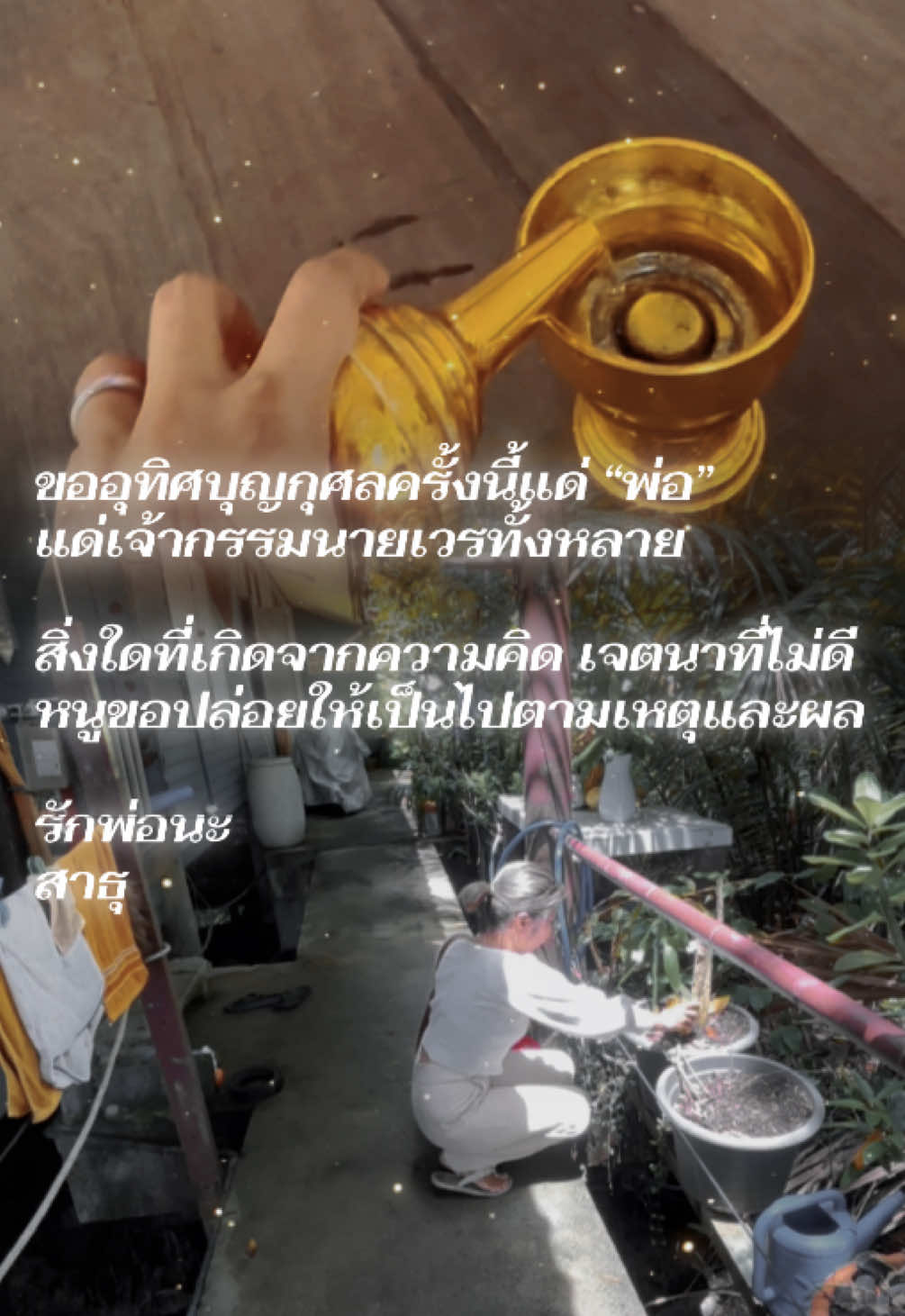 @เฟิร์นไปทั่ว