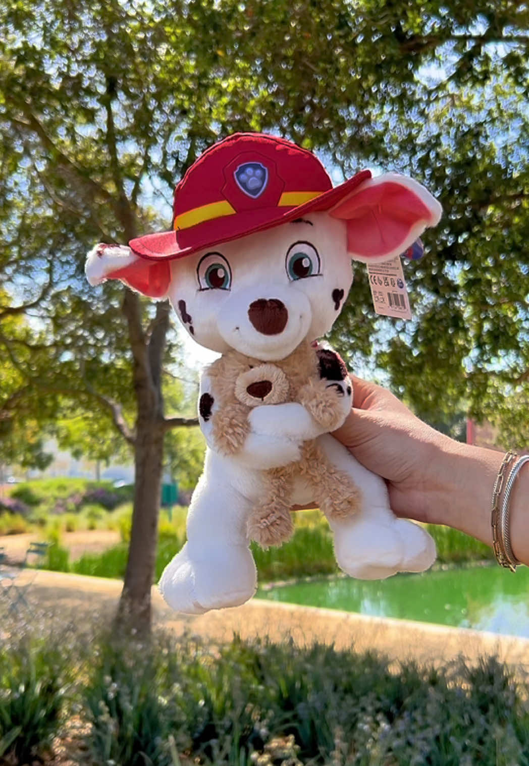 @pawpatrol