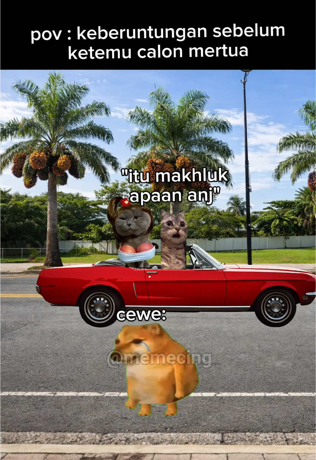 @Memecing
