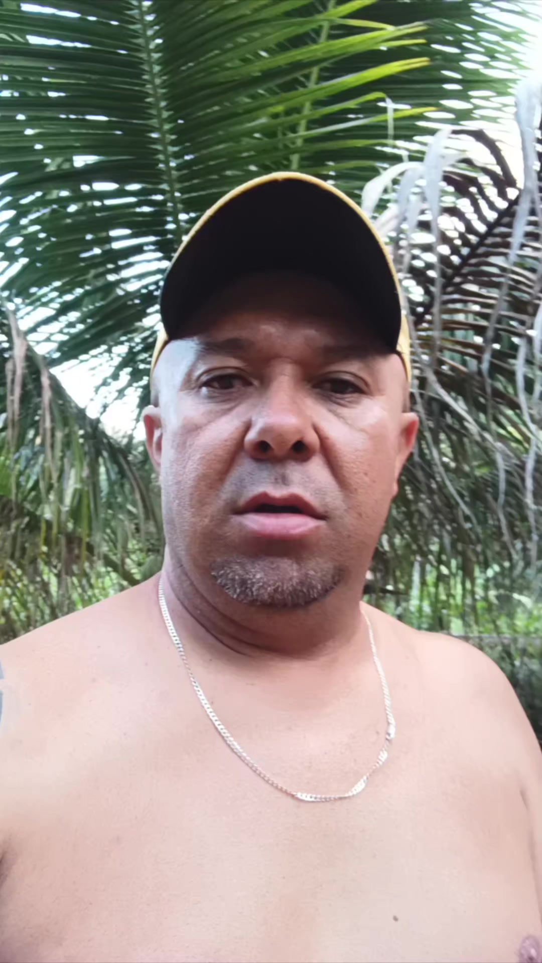 @fabiosilva_divulgacao