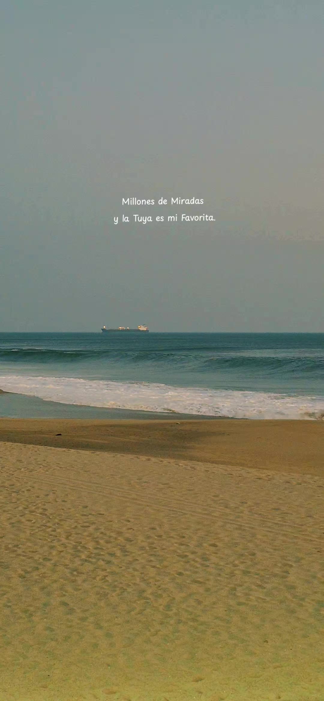 @𝐋𝐢𝐳𝐚 𝐁𝐞𝐫𝐧𝐚𝐥
