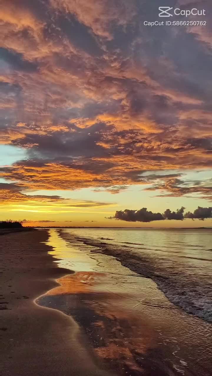 @blessedinfl