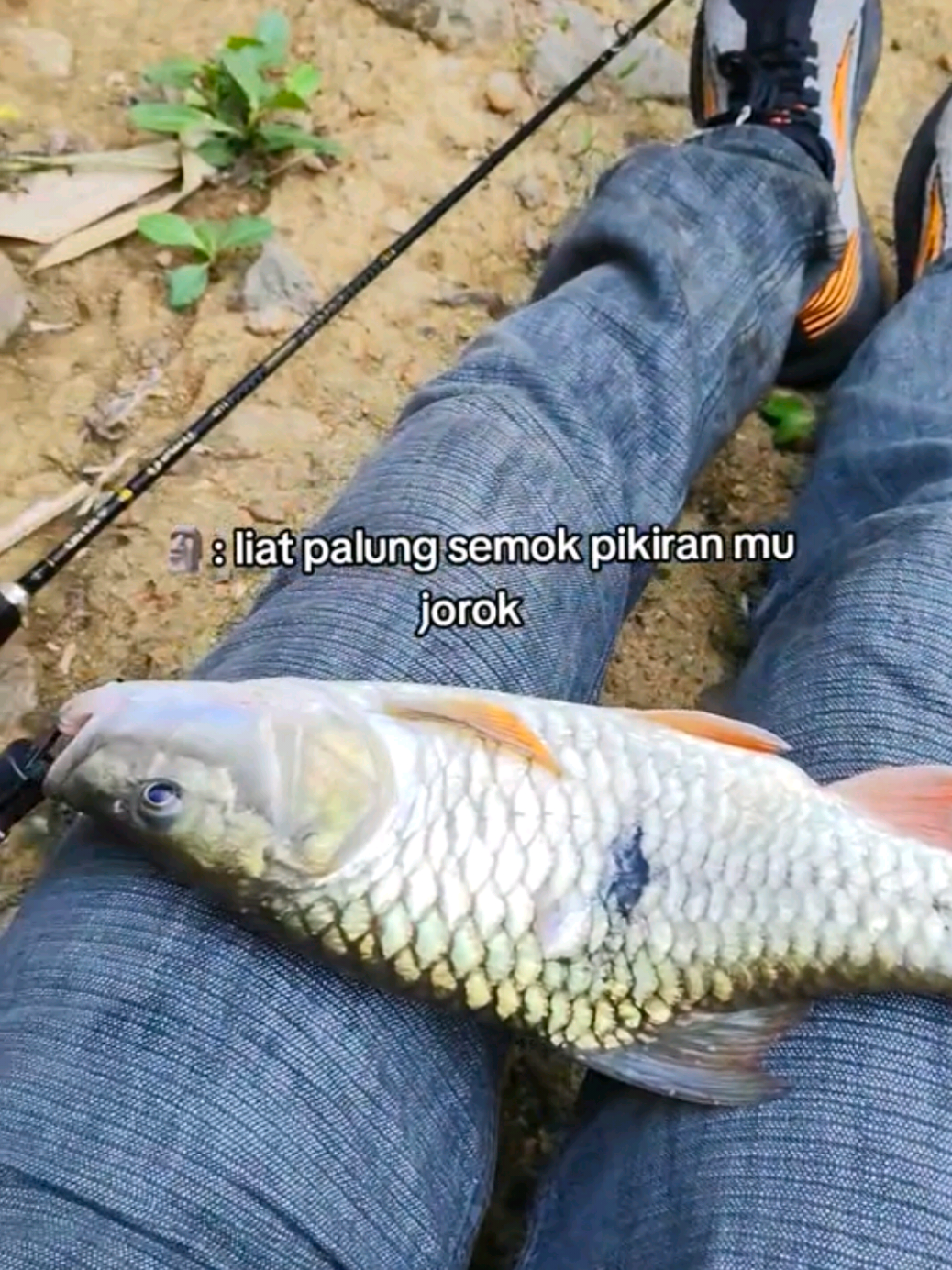 @gustavxfishing