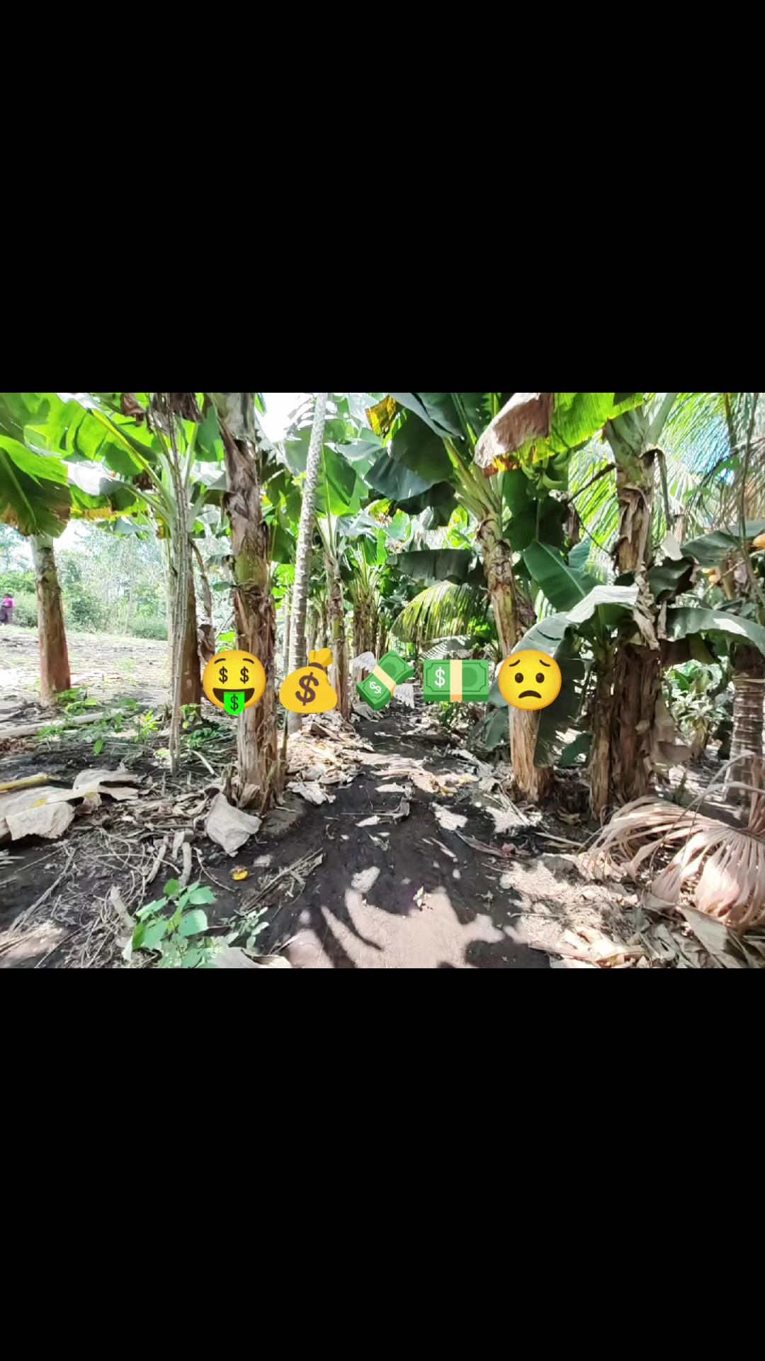 @M&eacute;ndez 🫩🫀