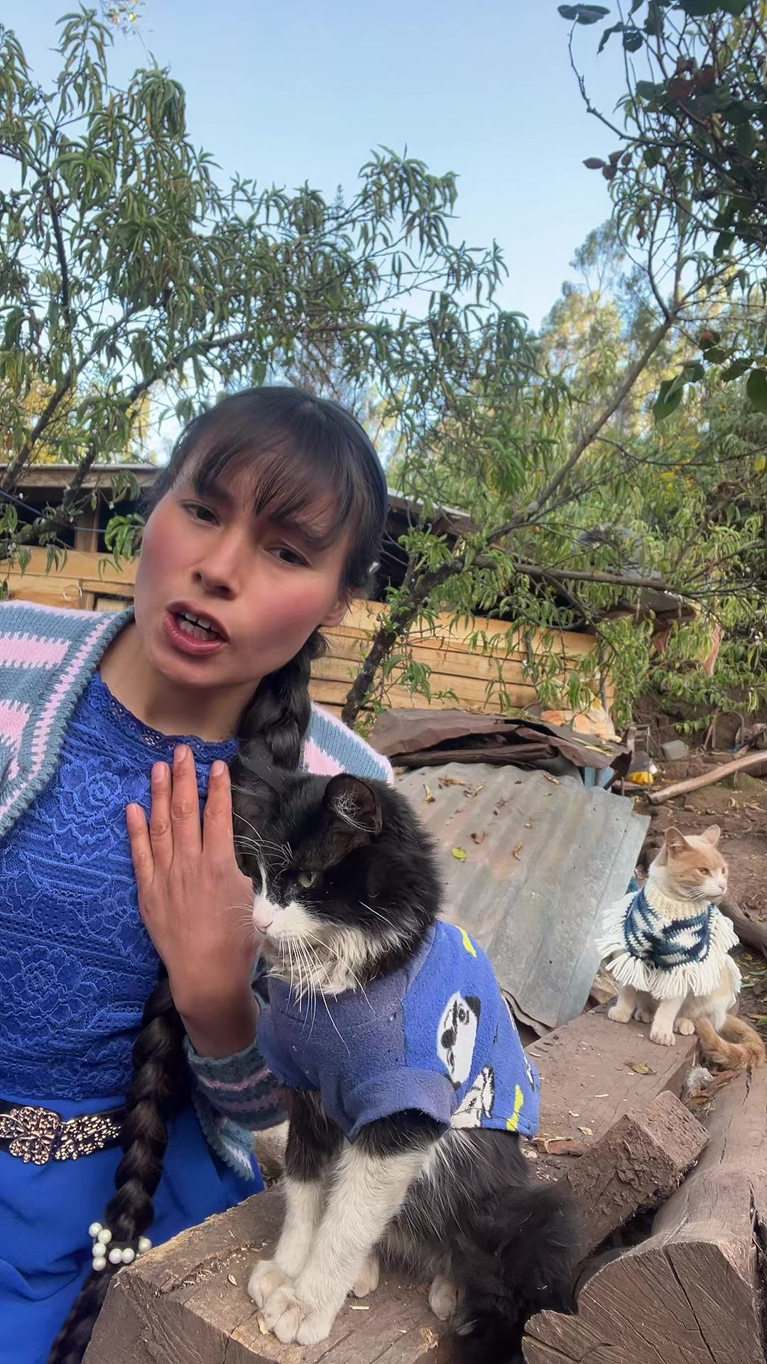 @🐈Rebeca y sus ocurrencias