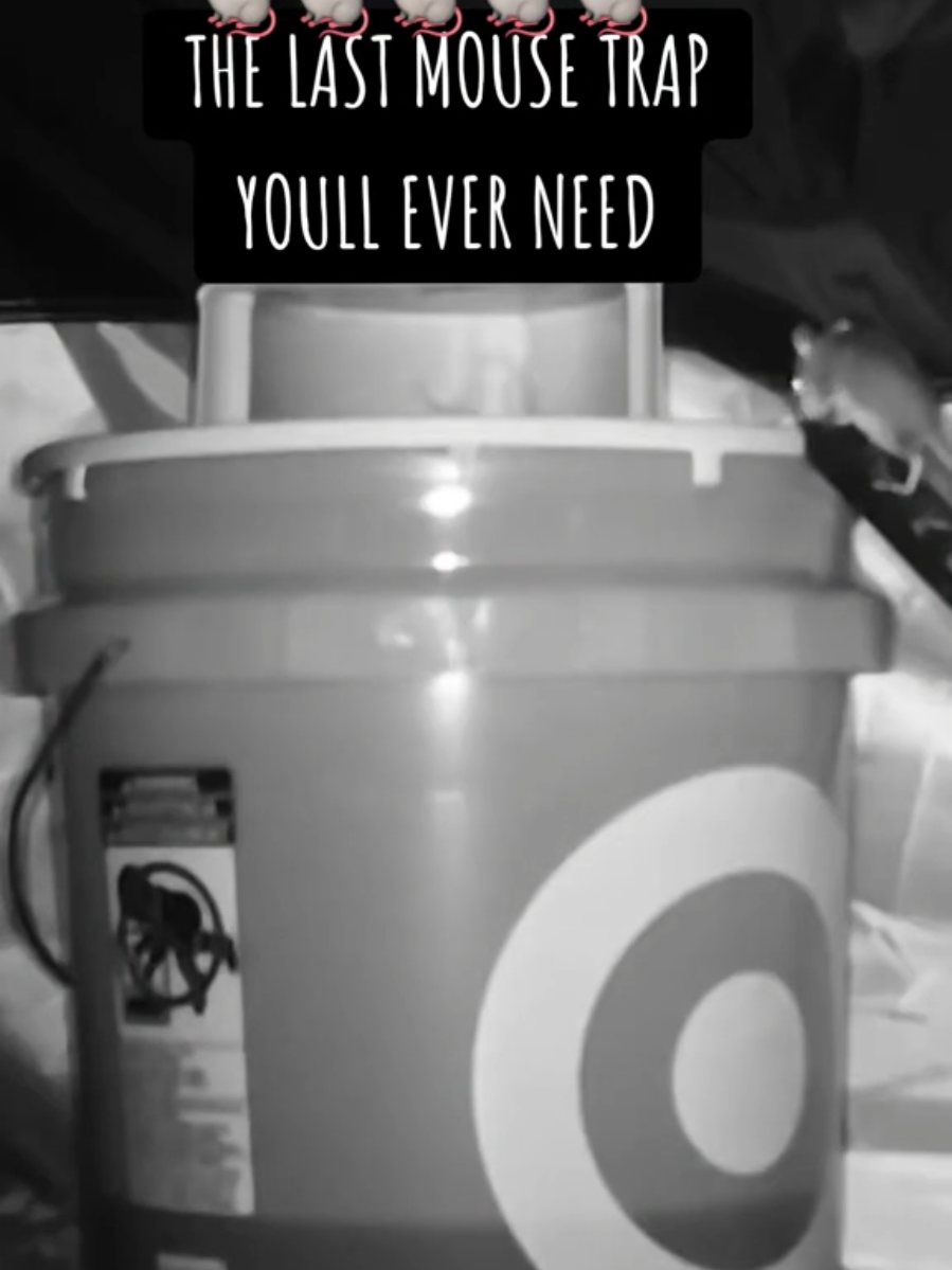 @Boltfiend