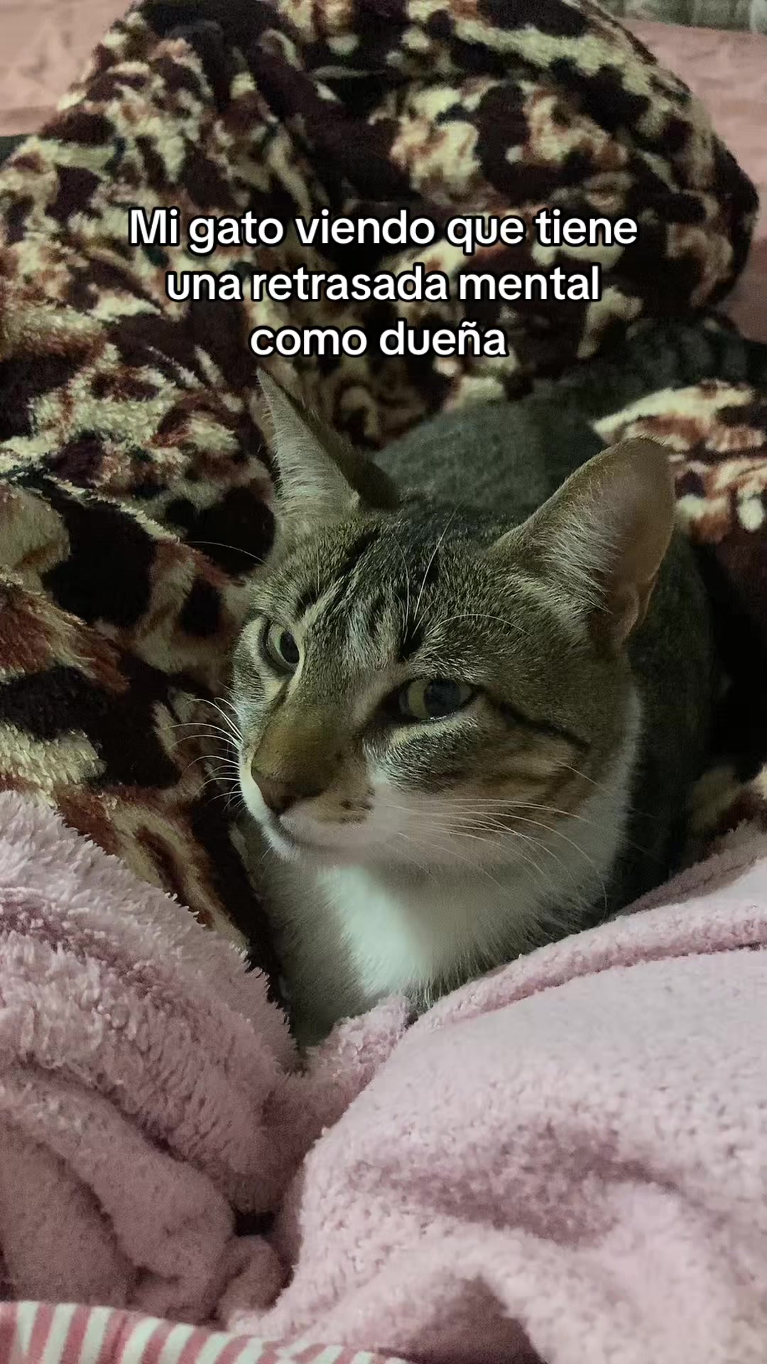 @C 🌸