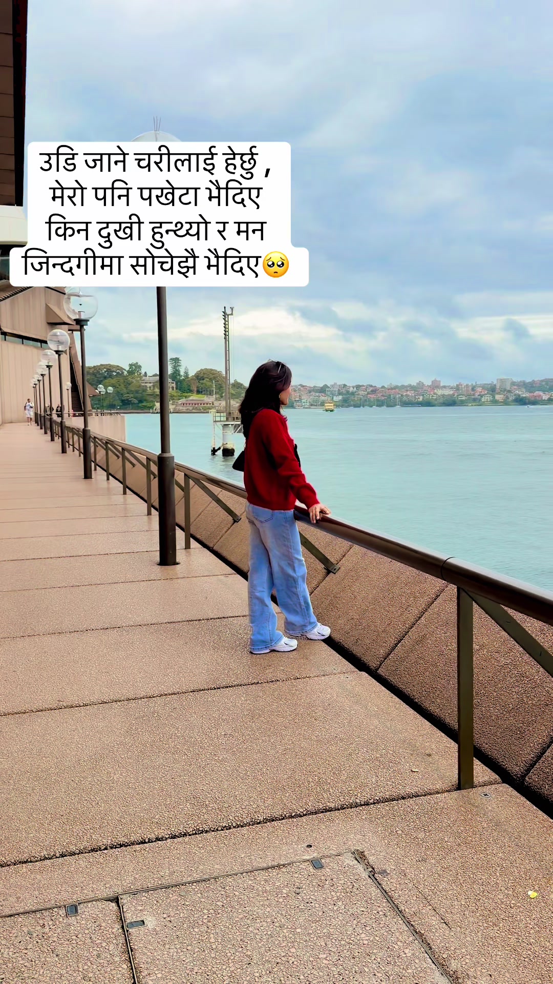 @🌺