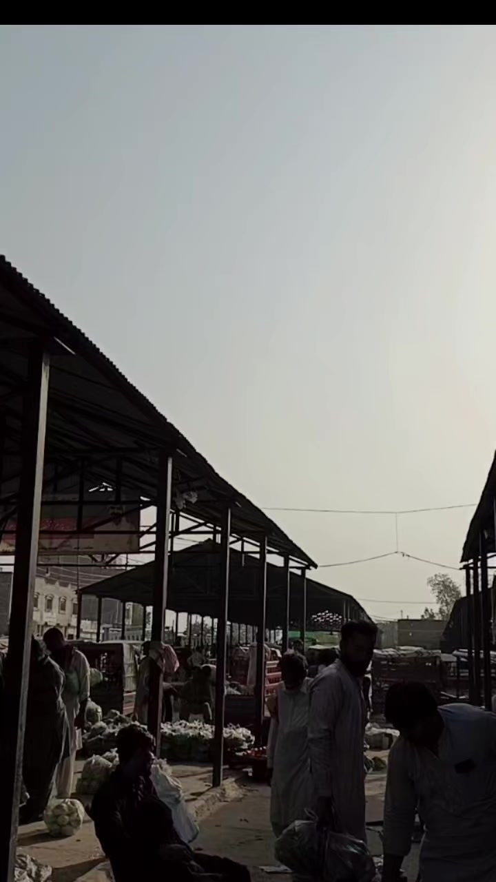 @⛓چوہدری سلمان وینس 🦁