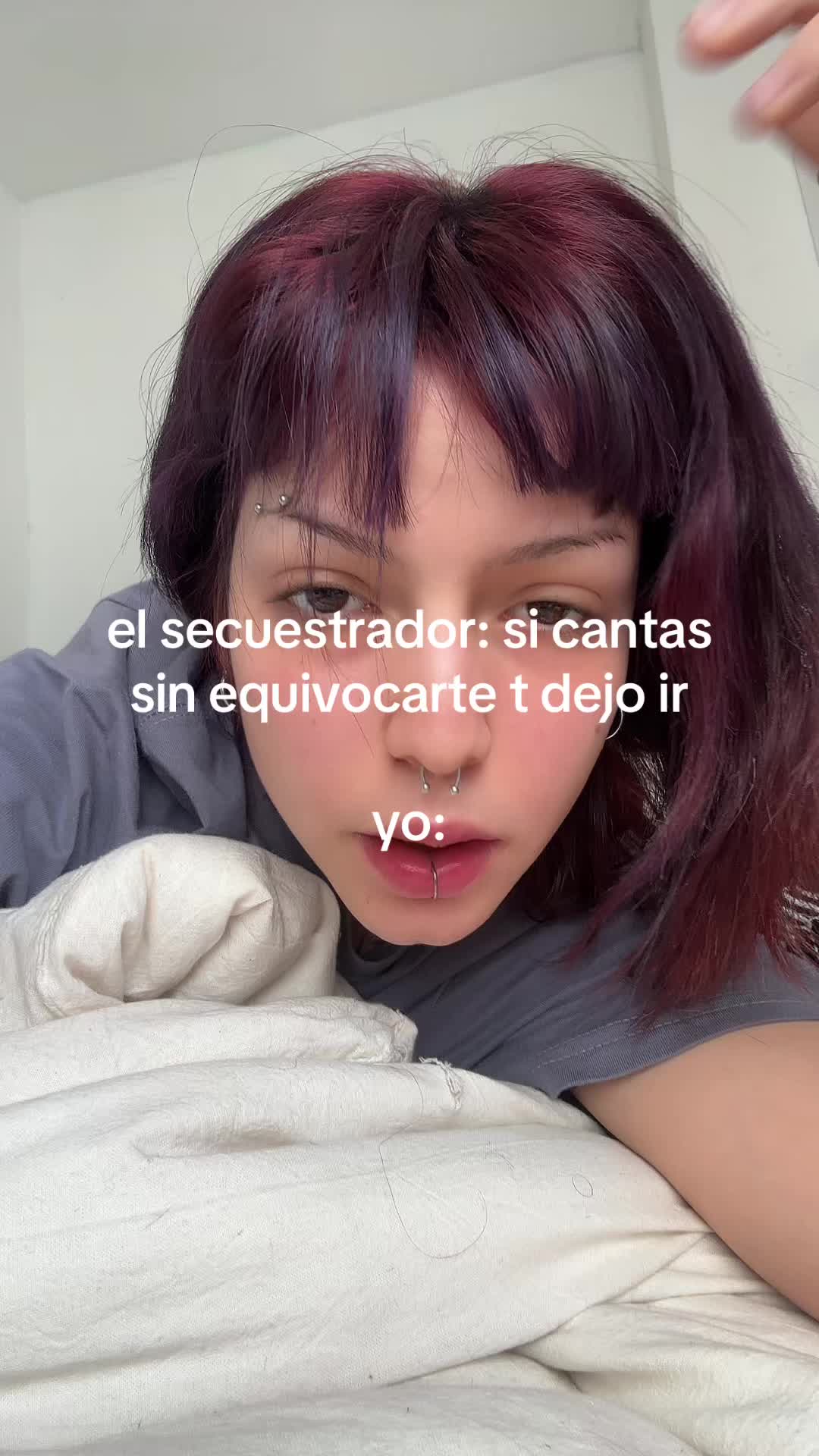 @gato punketo