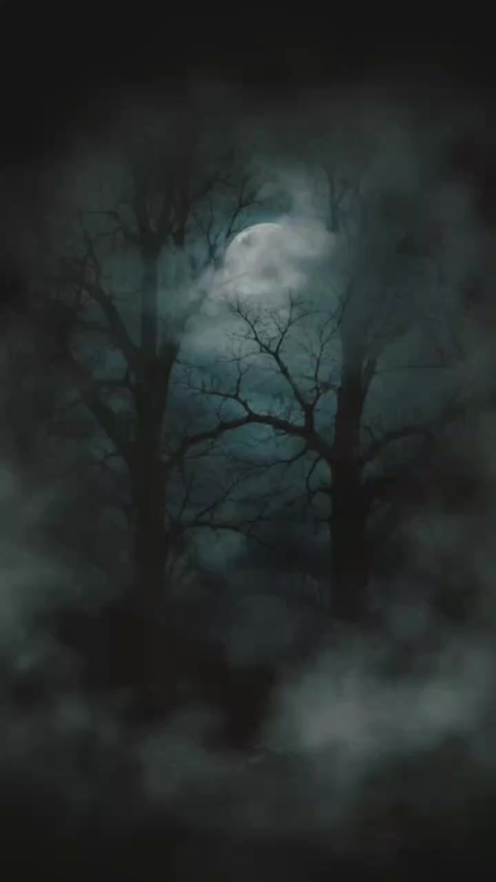 @🌚