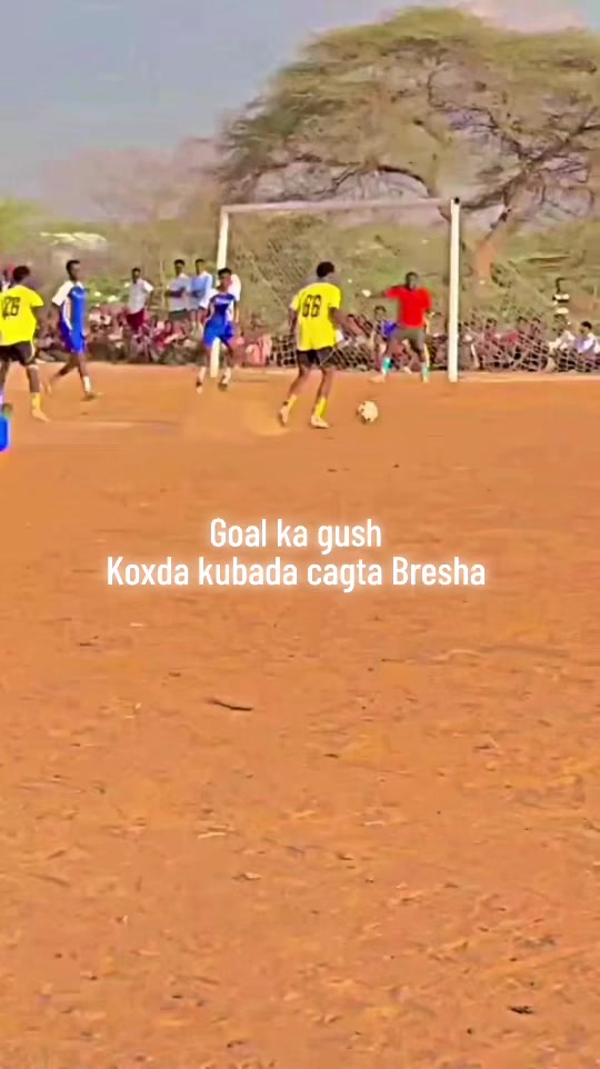@🔋BRASHA FOOTBALL CLUB 🚨