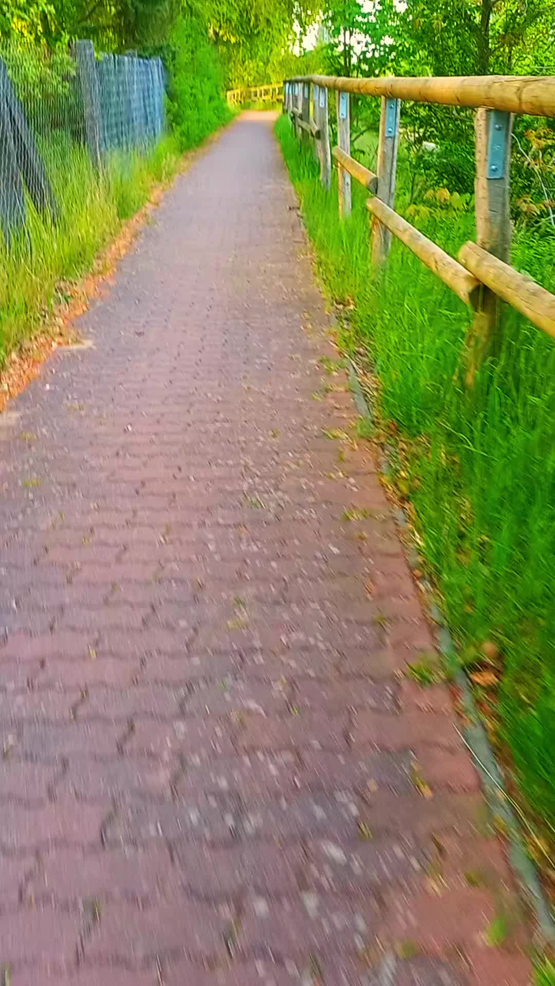 @🦚🆃𝓲𝓮𝓻🅿𝓪𝓻𝓴🆃𝓸𝓴🦚