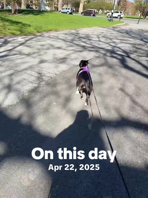 @Nyla.da.Staffy