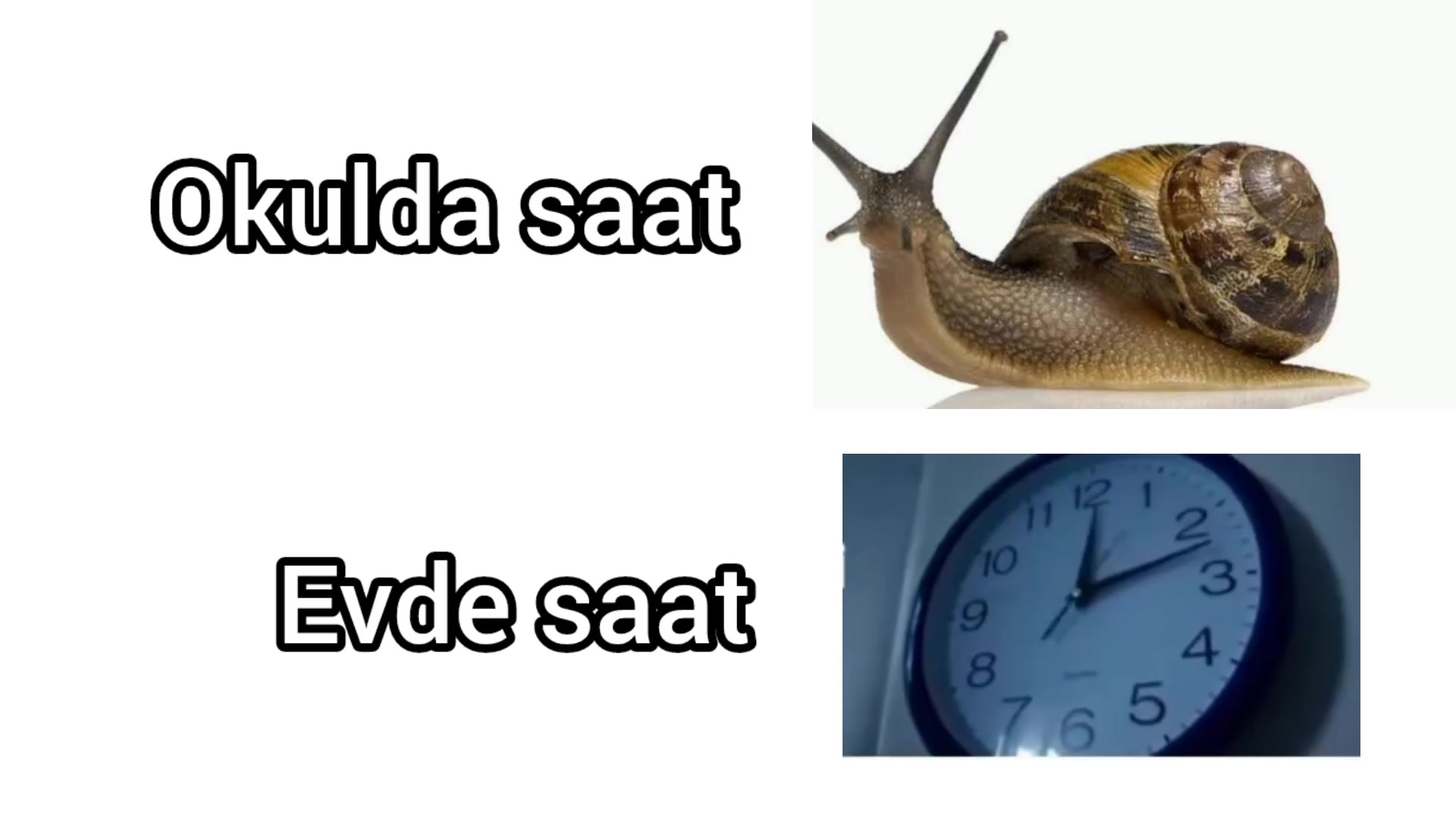@EDTLOVER1903