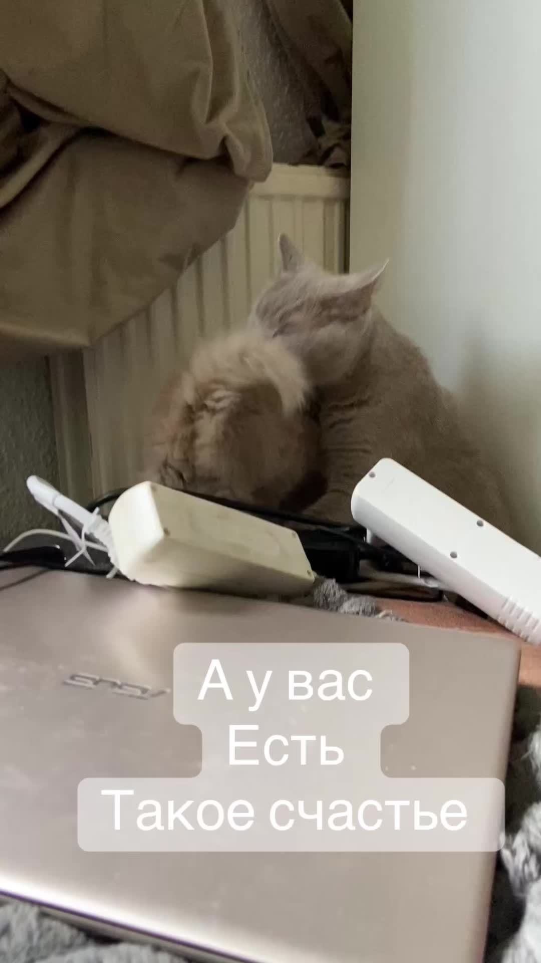 @ВИКУСЯ ЯСНОВИДЯЩАЯ