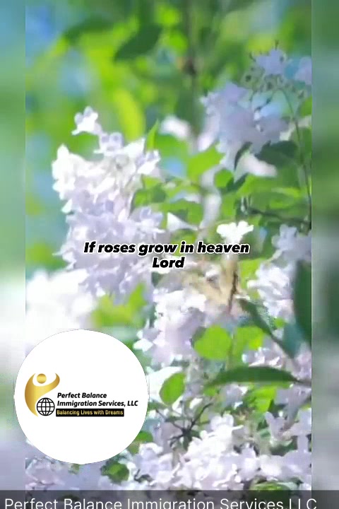 @PBimmigrationservices