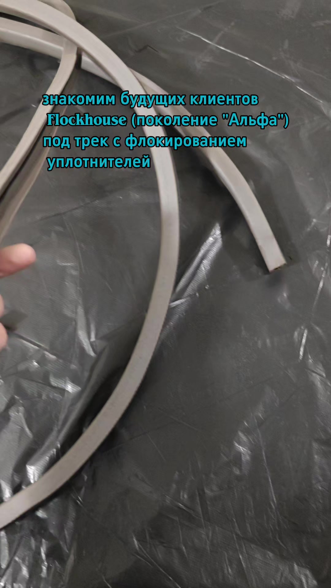 @flockhouse (Флокирование в РБ)